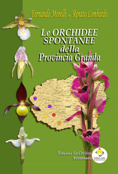 172783929124-libroleorchideespontaneedellaprovinciagrandaedizillustrataeditoreassociazionelacevitouanno2020