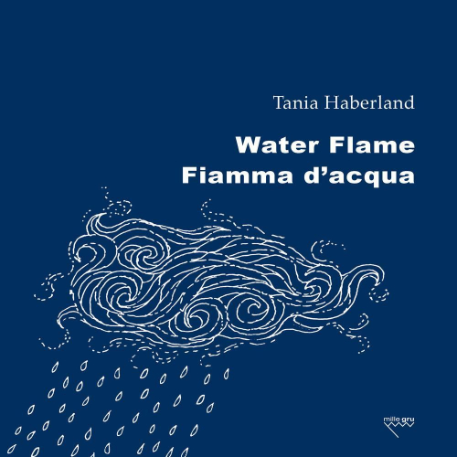 17278410675498-librowaterflamefiammadacquaedizbilingueeditoremillegruanno2019