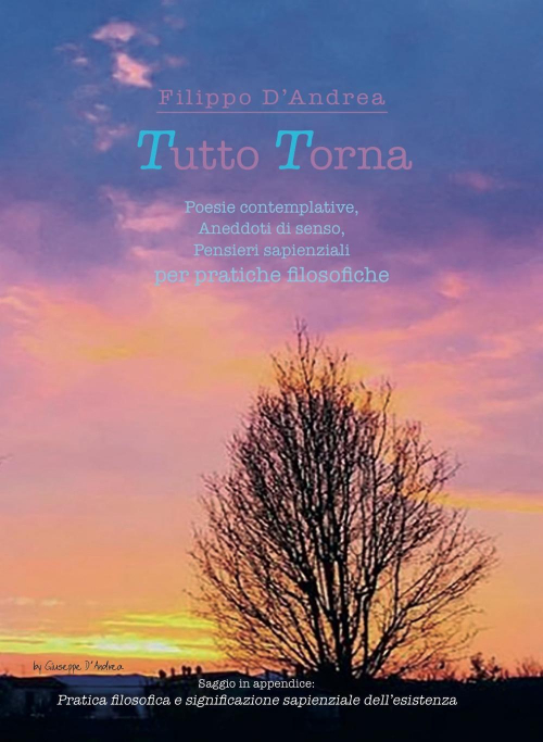 17278411149993-librotuttotornapoesiecontemplativeaneddotidisensopensierisapienzialiperpratichefilosoficheeditoregraficheditoreanno2018