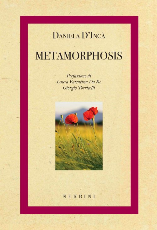 17278454938786-librometamorphosiseditorenerbinianno2022