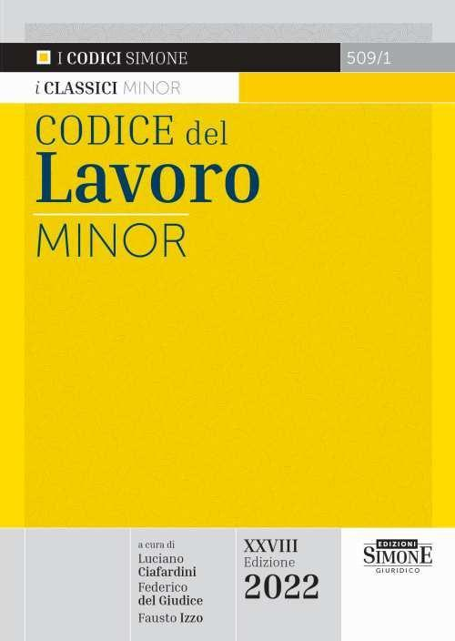 17278479336433-librocodicedellavoroedizminoreeditoreedizionigiuridichesimoneanno2022