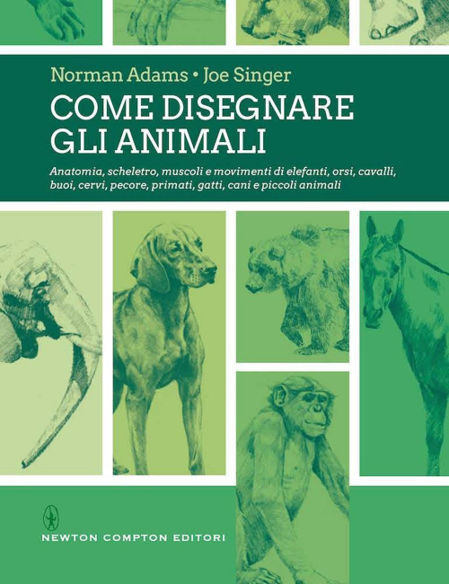 1727864641434-librocomedisegnareglianimalieditorenewtoncomptoneditorianno2021