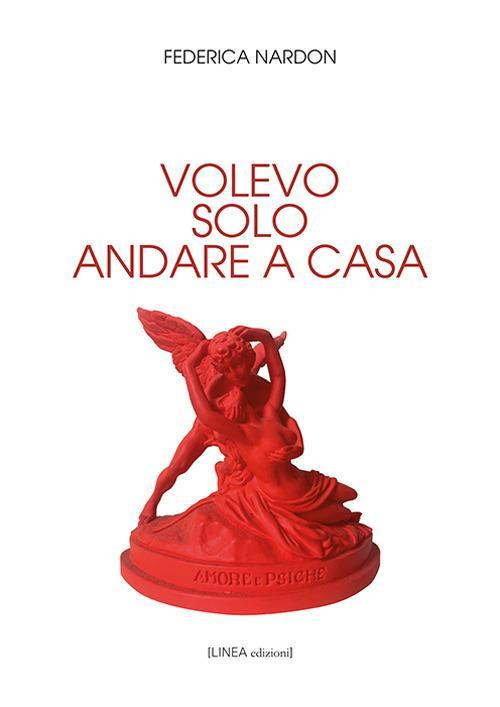 17278737136225-librovolevosoloandareacasaeditorelineaedizionianno2021