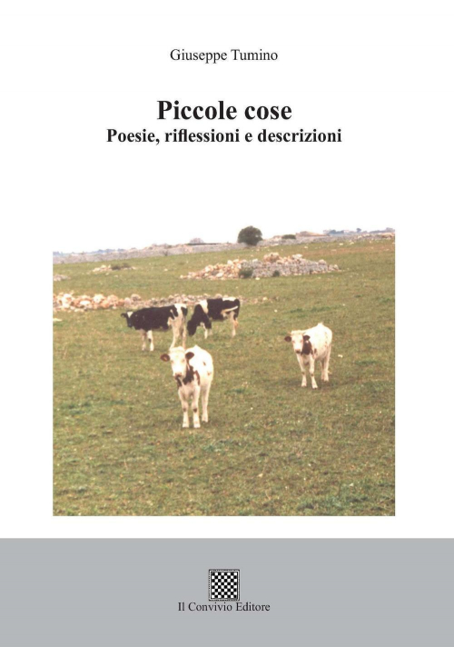 17278787029107-libropiccolecosepoesieriflessioniedescrizionieditoreilconvivioanno2019