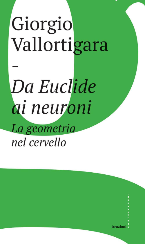 17278798379291-librodaeuclideaineuronilageometrianelcervelloeditorecastelvecchianno2017