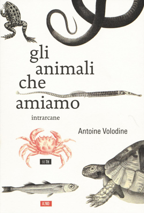 17278803830158-libroglianimalicheamiamoeditore66thand2ndanno2017