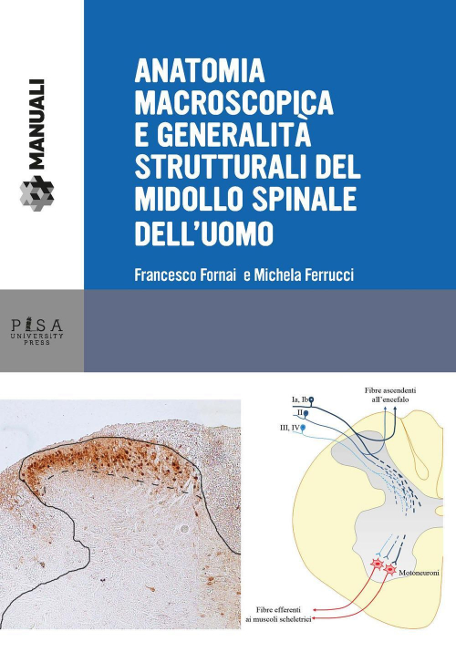 17278824850539-libroanatomiamacroscopicaegeneralitastrutturalidelmidollospinaledelluomoeditorepisauniversitypressanno2018