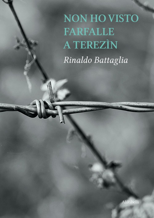 17278832988551-librononhovistofarfalleaterezineditorealiribelliedizionianno2021