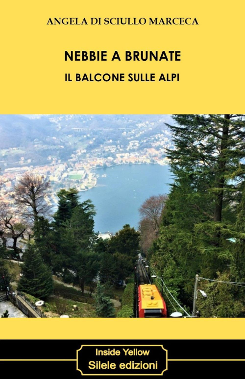 17278833554599-libronebbieabrunateilbalconesullealpieditoresileleanno2018