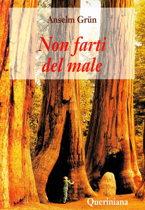 17278945170364-librononfartidelmaleeditorequerinianaanno1999