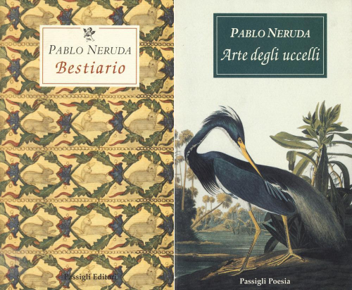 17278959331671-libroartedegliuccellibestiariotestospagnoloafronteeditorepassiglianno2019