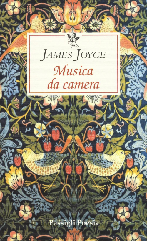 17278959861033-libromusicadacameraeditorepassiglianno2019