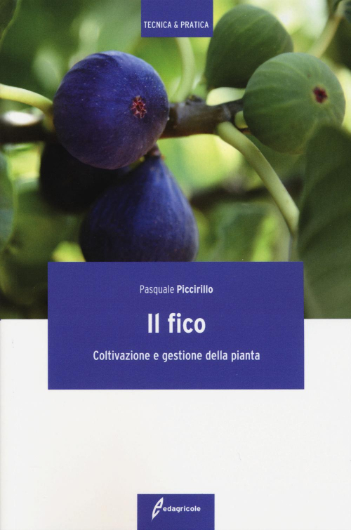 17279060040836-libroilficocoltivazioneegestionedellapiantaeditoreedagricolenewbusinessmediaanno2015