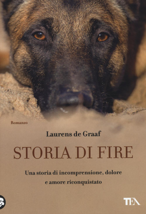 17279064753731-librostoriadifireeditoreteaanno2015