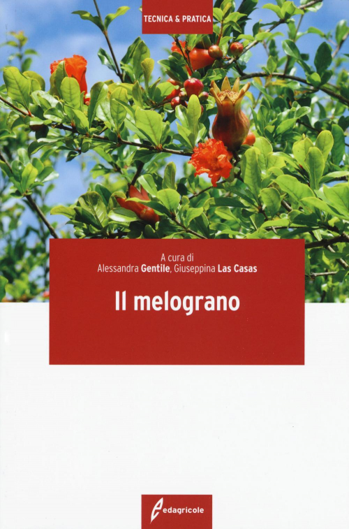 17279067571313-libroilmelogranoeditoreedagricolenewbusinessmediaanno2019