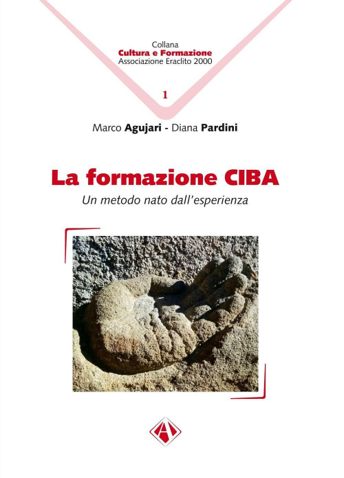 17279229725835-librolaformazionecibaunmetodonatodallesperienzaeditoreilcampanoanno2018