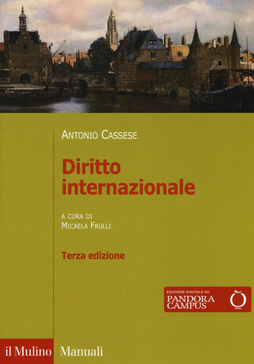 17301087455177-librodirittointernazionaleeditoreilmulinoanno2017