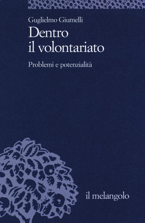 17301089232528-librodentroilvolontariatoproblemiepotenzialitaeditoreilnuovomelangoloanno2016