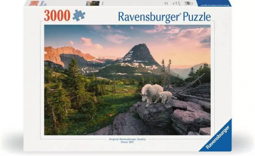 17301884302472-ravensburger12000809puzzle3000pzaltro