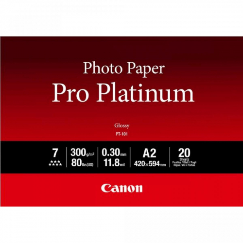 17302462035813-canoncartafotograficaproplatinumpt101a220fogli