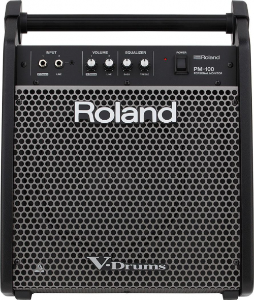 17303813646601-rolandpm100monitoraudionero