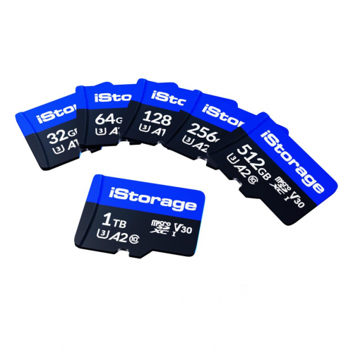 17304987808225-istoragemicrosdcard256gbmicrosdxcuhsiiiclasse10