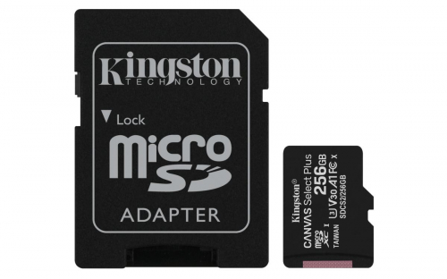 17321639563975-kingstontechnologyschedamicsdxccanvasselectplus100ra1c10da256gbadattatore