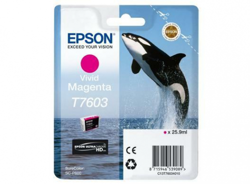 17321835863138-epsonc13t76034n10cartucciadinchiostro1pzoriginalemagentavivido