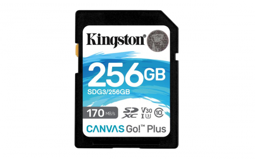 17321903842555-kingstontechnologyschedasdxccanvasgoplus170rc10uhsiu3v30da256gb