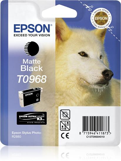 17322399951362-epsonhuskycartuccianeromatte